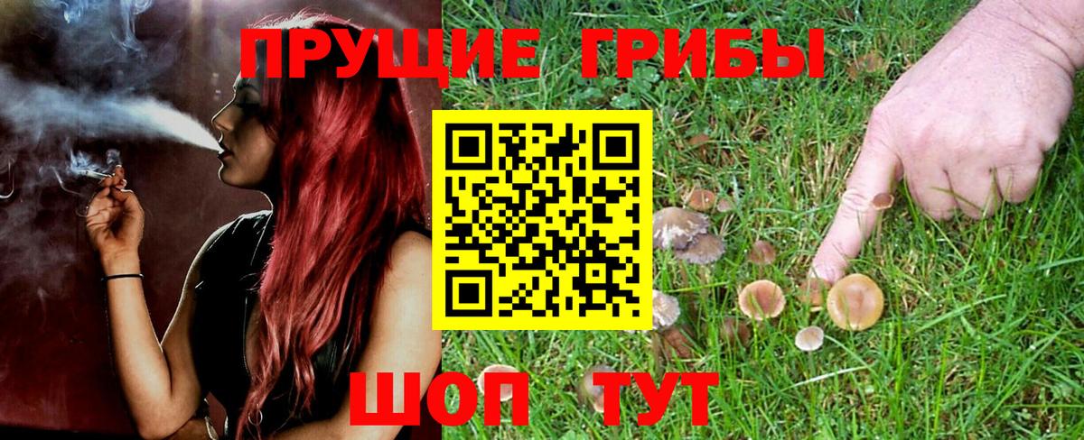 купить наркоту  Вход с VPN  Кумертау  Галлюциногенные грибы Cubensis 